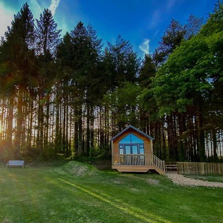 Cabin In The Woods - 1 Bedroom Lodge - Kilgetty Stepaside  Zewnętrze zdjęcie
