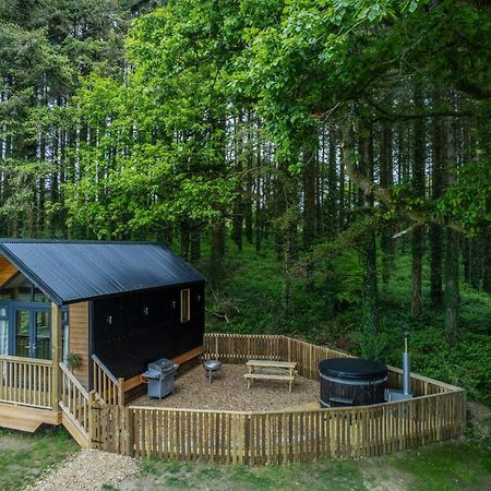 Cabin In The Woods - 1 Bedroom Lodge - Kilgetty Stepaside  Zewnętrze zdjęcie