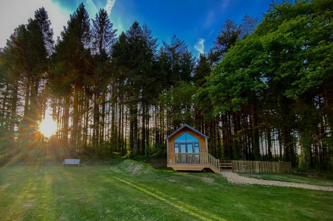Cabin In The Woods - 1 Bedroom Lodge - Kilgetty Stepaside  Zewnętrze zdjęcie