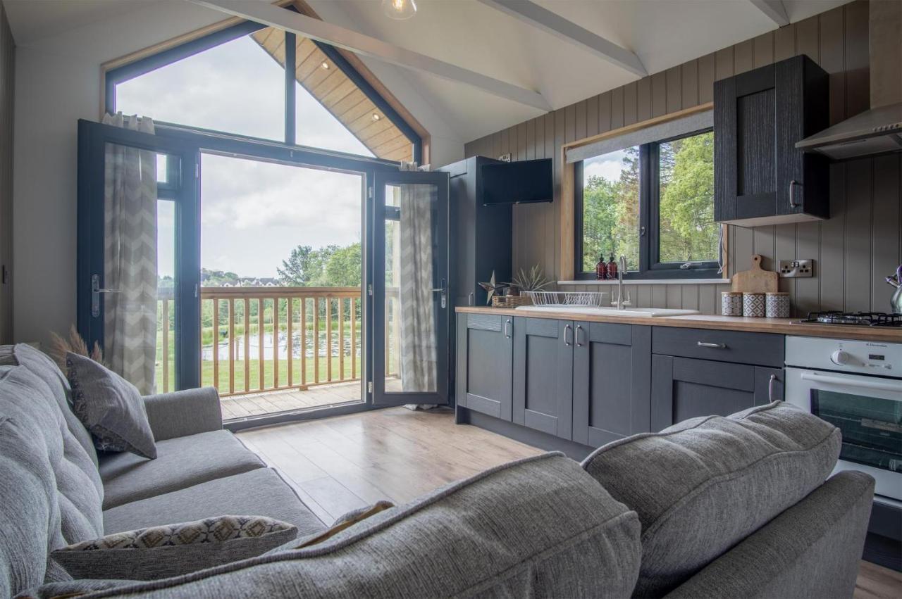 Cabin In The Woods - 1 Bedroom Lodge - Kilgetty Stepaside  Zewnętrze zdjęcie