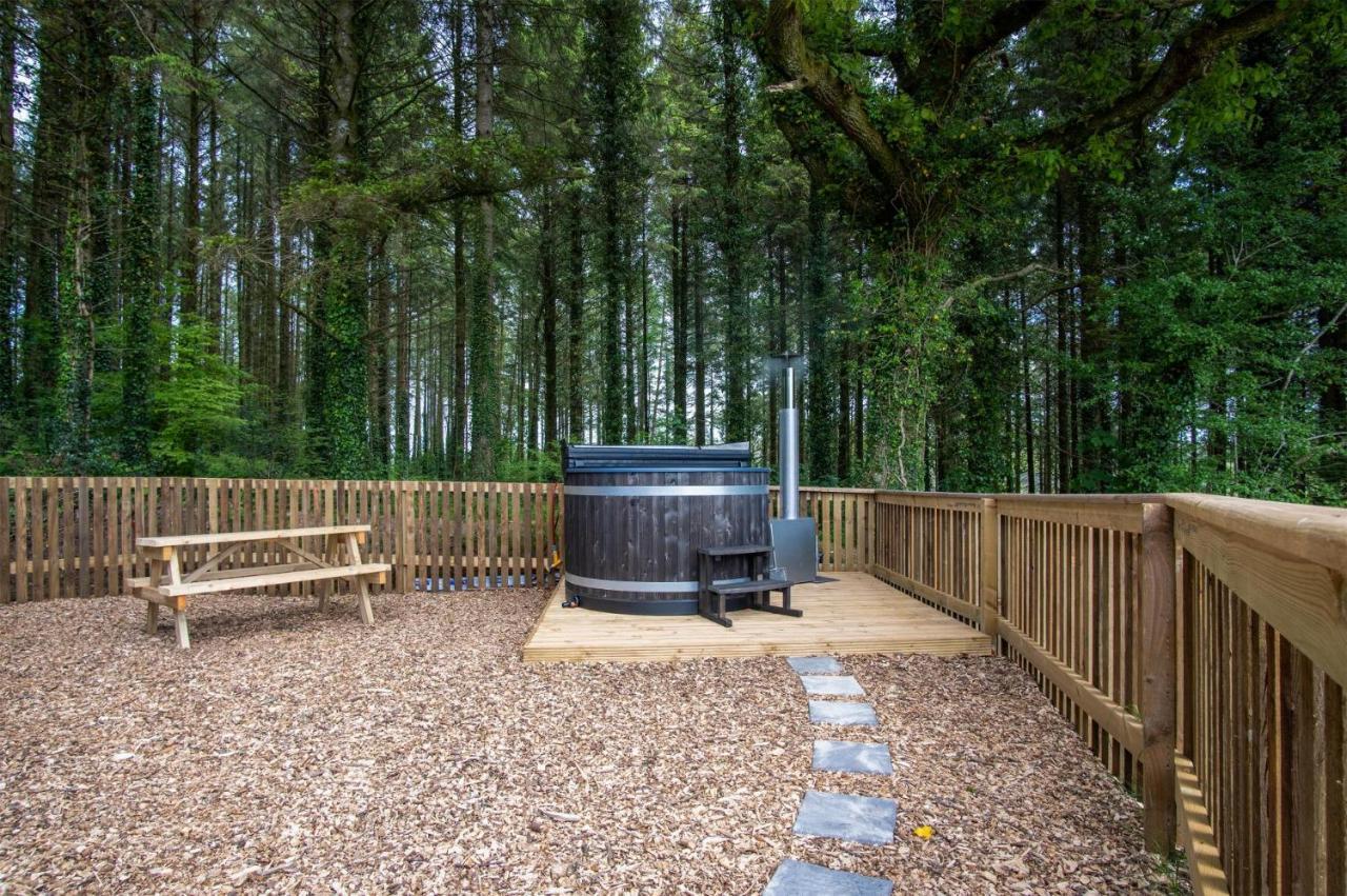 Cabin In The Woods - 1 Bedroom Lodge - Kilgetty Stepaside  Zewnętrze zdjęcie