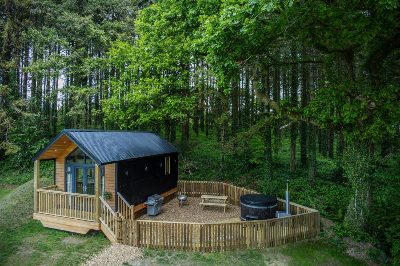 Cabin In The Woods - 1 Bedroom Lodge - Kilgetty Stepaside  Zewnętrze zdjęcie