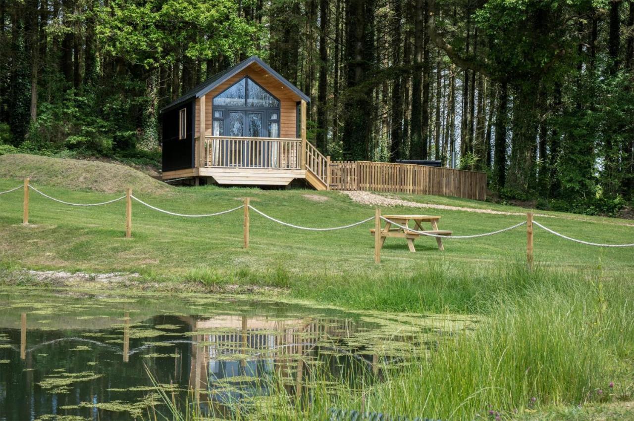 Cabin In The Woods - 1 Bedroom Lodge - Kilgetty Stepaside  Zewnętrze zdjęcie