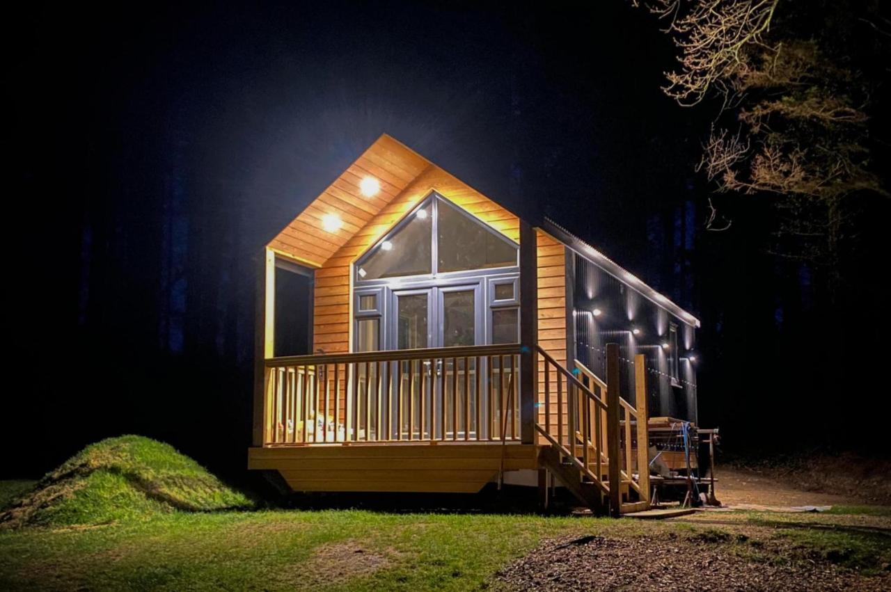Cabin In The Woods - 1 Bedroom Lodge - Kilgetty Stepaside  Zewnętrze zdjęcie