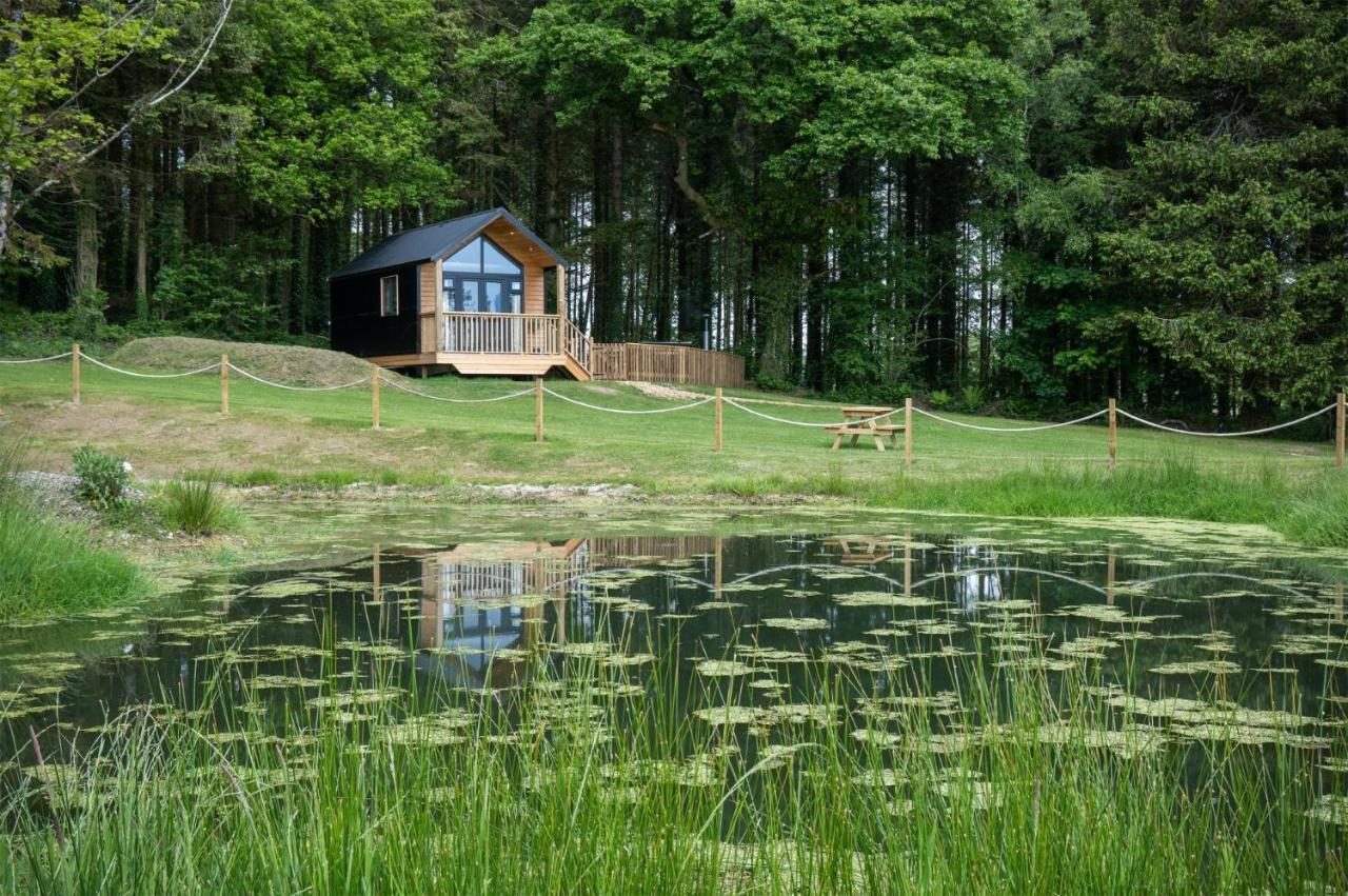 Cabin In The Woods - 1 Bedroom Lodge - Kilgetty Stepaside  Zewnętrze zdjęcie