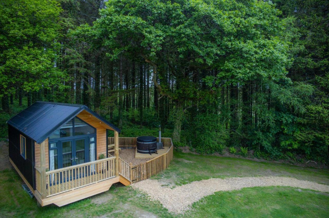 Cabin In The Woods - 1 Bedroom Lodge - Kilgetty Stepaside  Zewnętrze zdjęcie