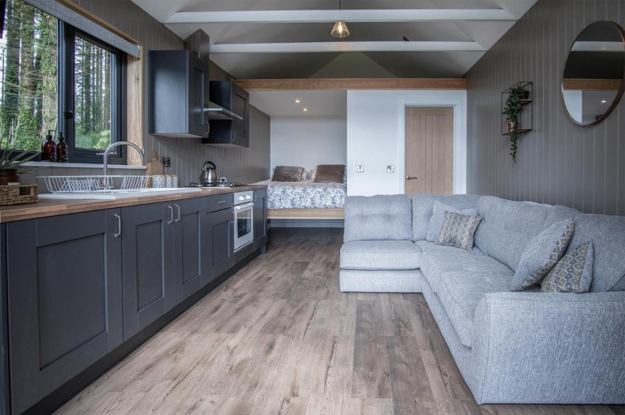 Cabin In The Woods - 1 Bedroom Lodge - Kilgetty Stepaside  Zewnętrze zdjęcie