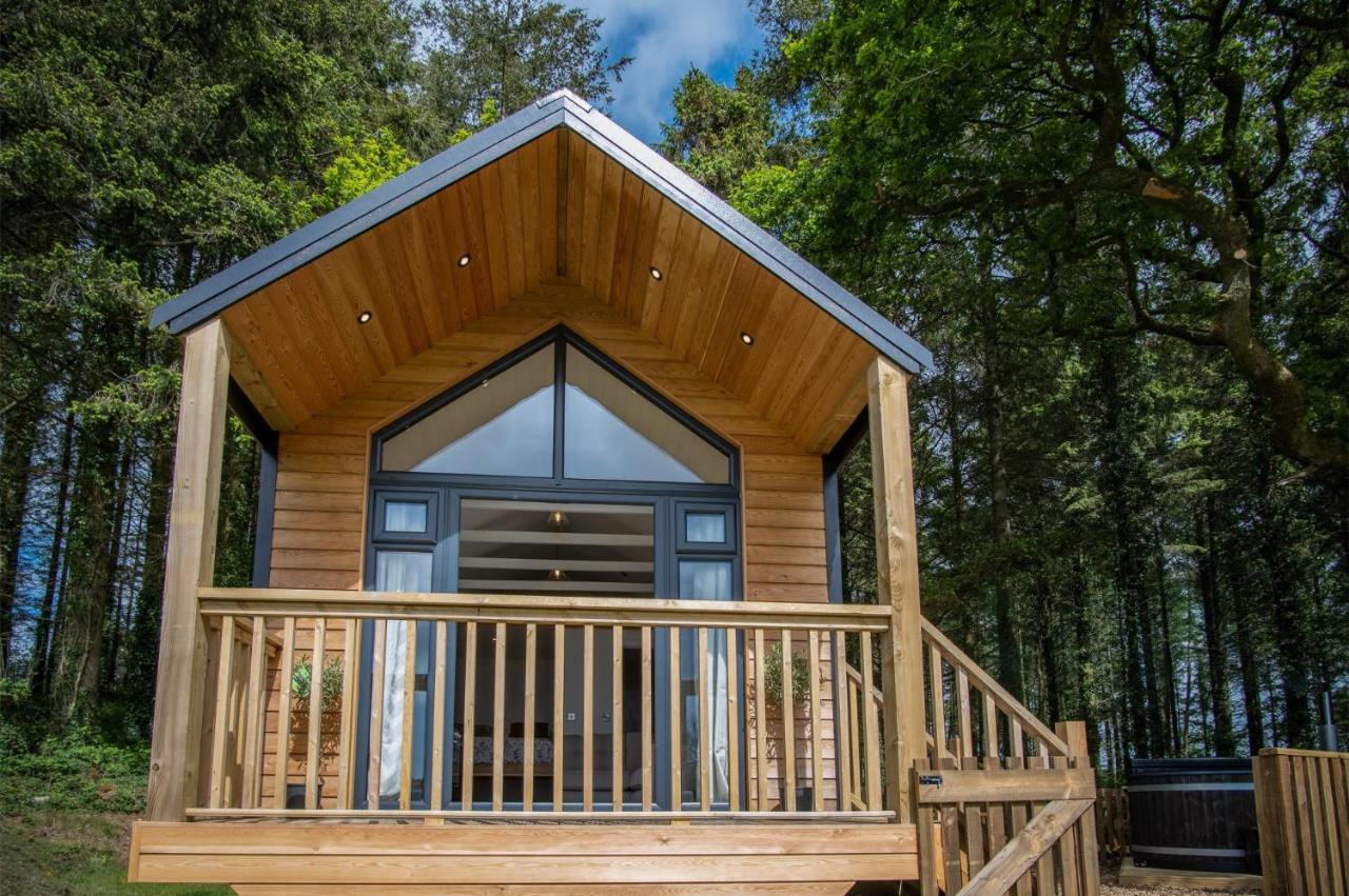 Cabin In The Woods - 1 Bedroom Lodge - Kilgetty Stepaside  Zewnętrze zdjęcie