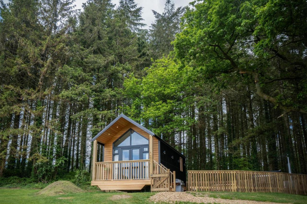Cabin In The Woods - 1 Bedroom Lodge - Kilgetty Stepaside  Zewnętrze zdjęcie