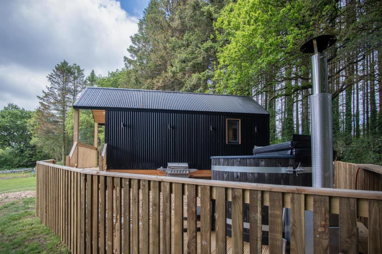 Cabin In The Woods - 1 Bedroom Lodge - Kilgetty Stepaside  Zewnętrze zdjęcie