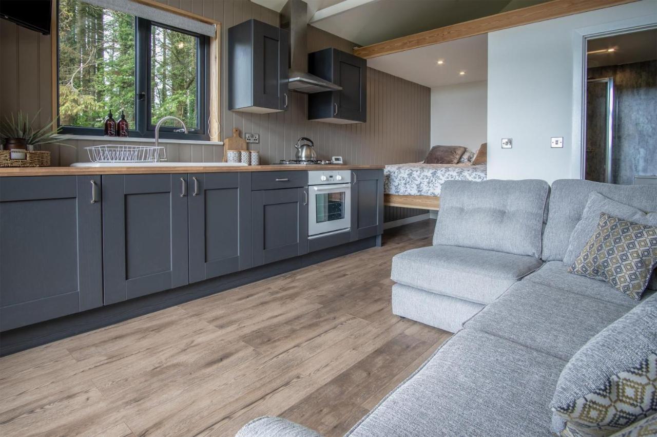 Cabin In The Woods - 1 Bedroom Lodge - Kilgetty Stepaside  Zewnętrze zdjęcie