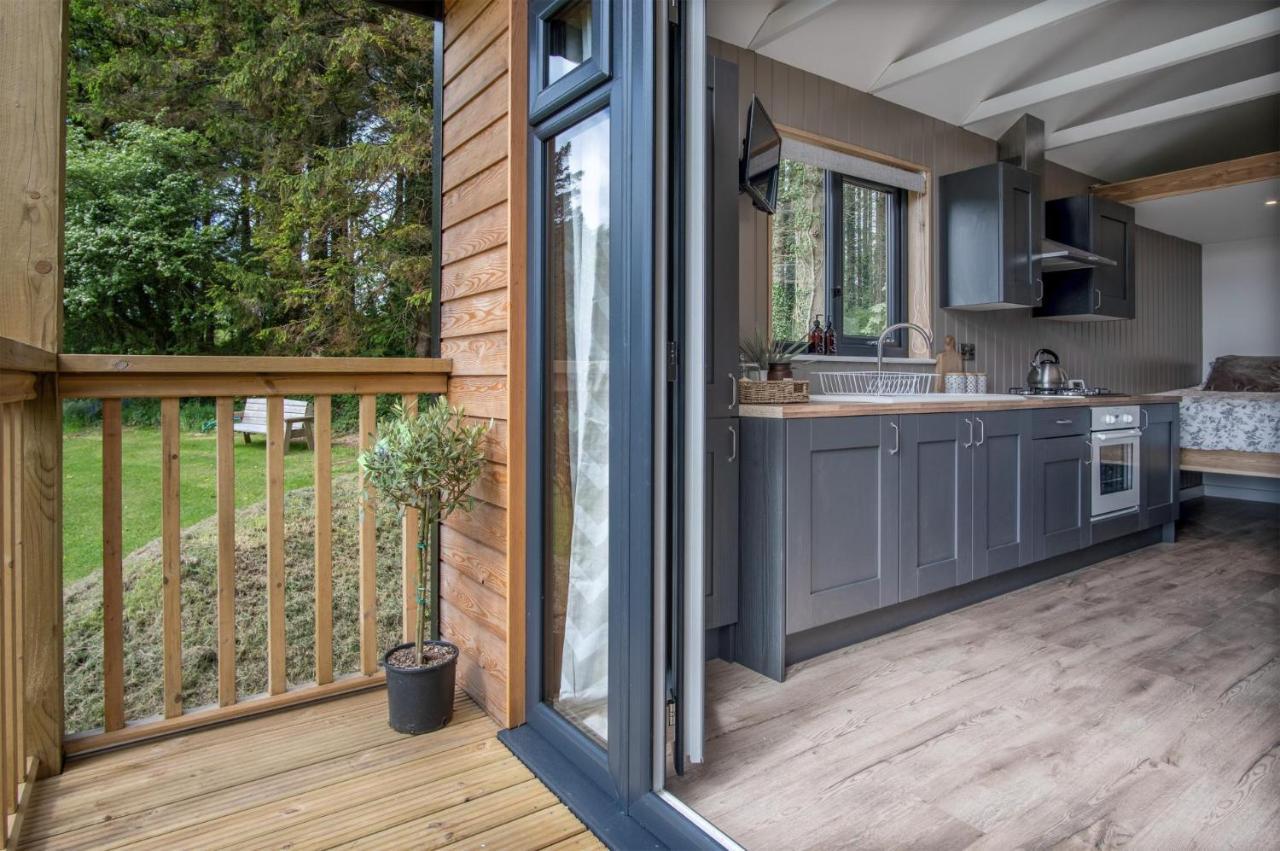 Cabin In The Woods - 1 Bedroom Lodge - Kilgetty Stepaside  Zewnętrze zdjęcie