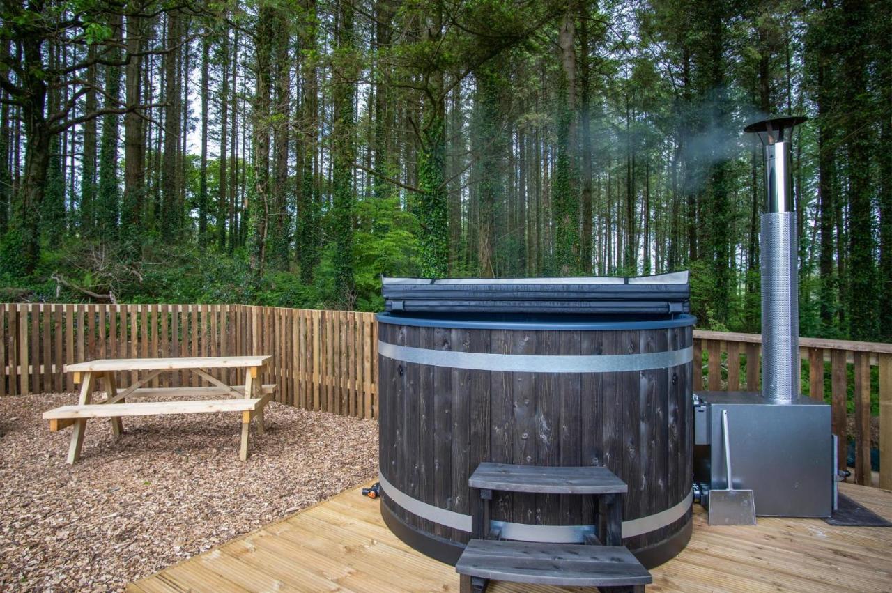 Cabin In The Woods - 1 Bedroom Lodge - Kilgetty Stepaside  Zewnętrze zdjęcie