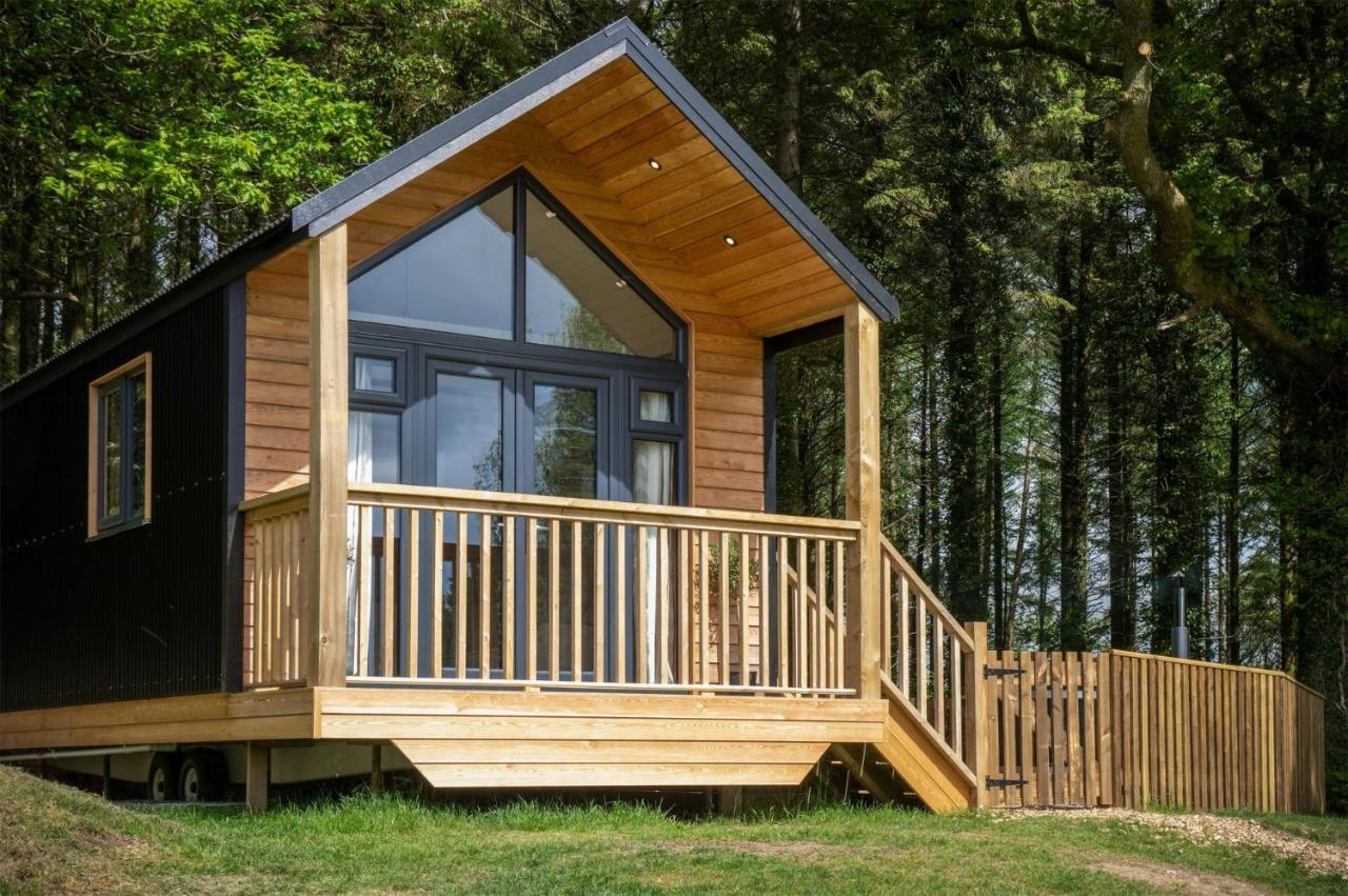 Cabin In The Woods - 1 Bedroom Lodge - Kilgetty Stepaside  Zewnętrze zdjęcie