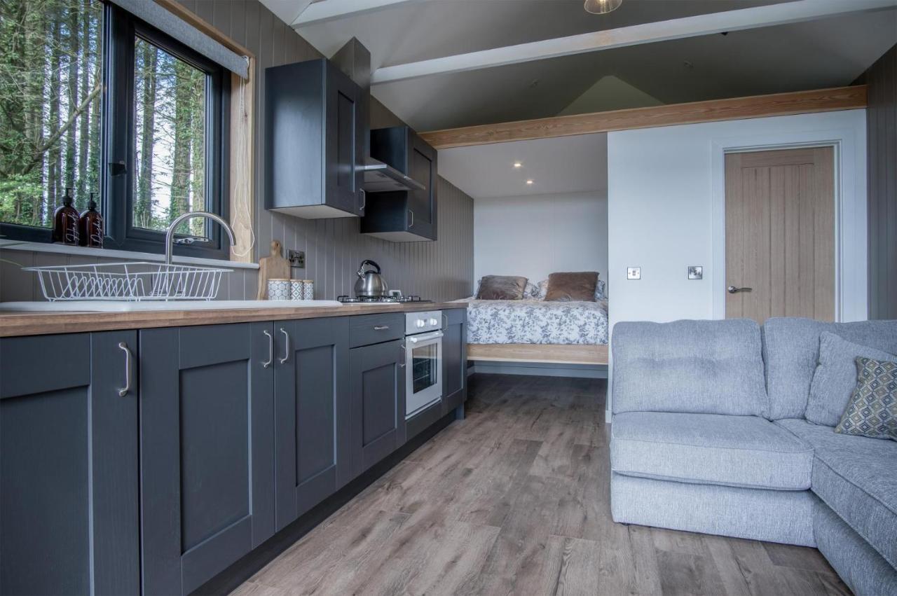 Cabin In The Woods - 1 Bedroom Lodge - Kilgetty Stepaside  Zewnętrze zdjęcie