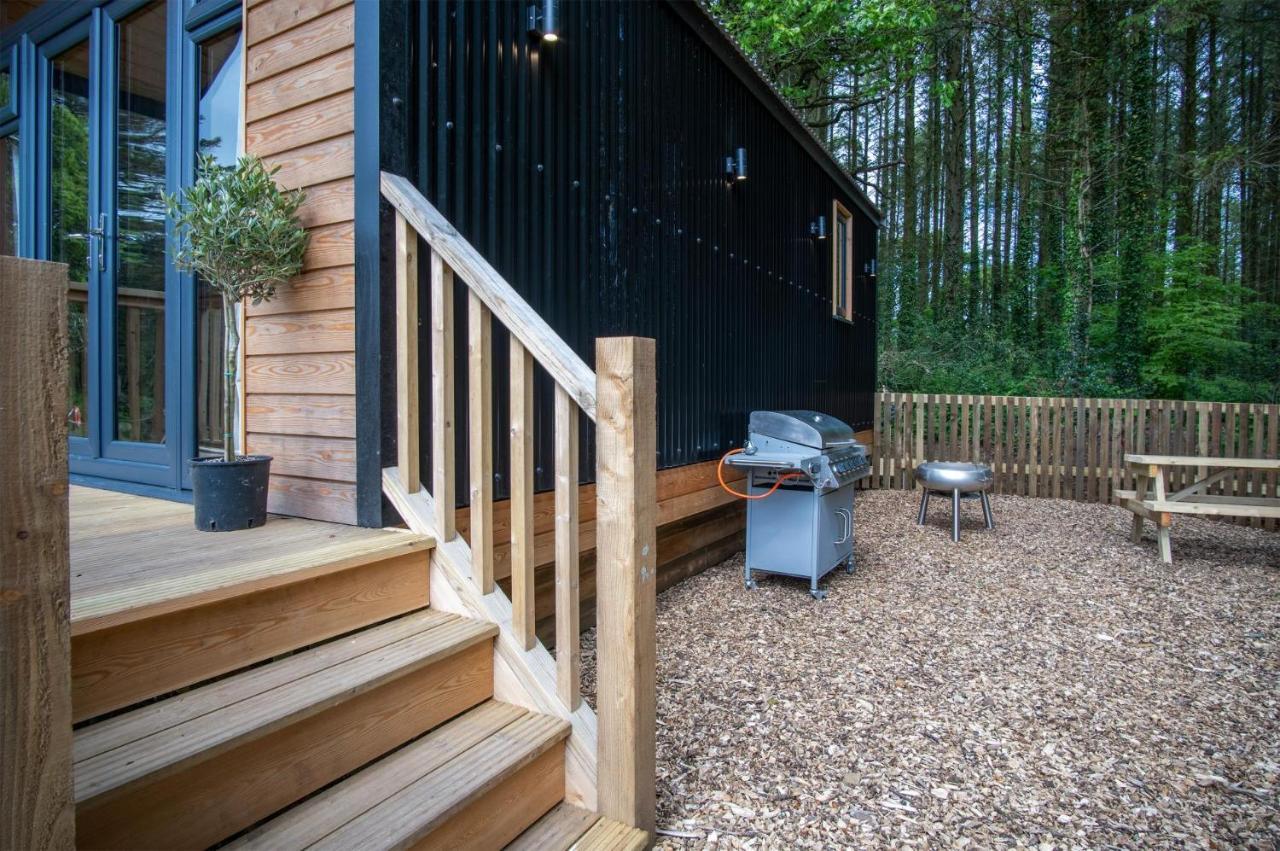 Cabin In The Woods - 1 Bedroom Lodge - Kilgetty Stepaside  Zewnętrze zdjęcie