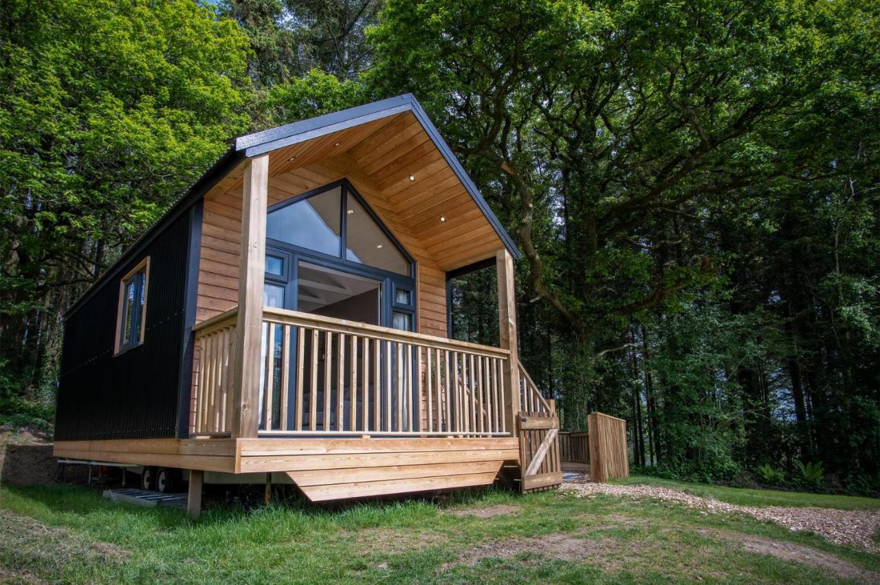 Cabin In The Woods - 1 Bedroom Lodge - Kilgetty Stepaside  Zewnętrze zdjęcie