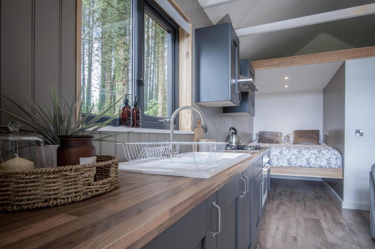 Cabin In The Woods - 1 Bedroom Lodge - Kilgetty Stepaside  Zewnętrze zdjęcie